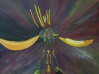 4 Trollblume